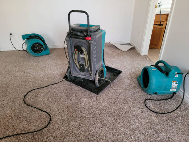 Best Fire Damage Restoration  in Anadarko, OK