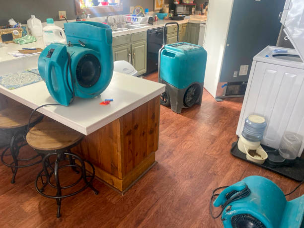 Best Carpet water damage restoration  in Anadarko, OK