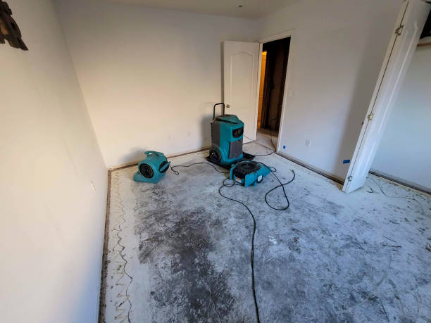 Best Water damage restoration specialists  in Anadarko, OK