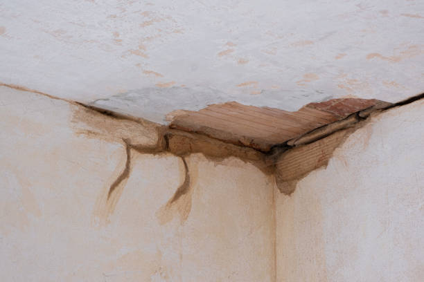 Best Ceiling water damage repair  in Anadarko, OK