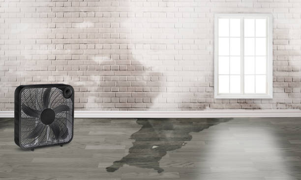 Best Water damage cleanup near me  in Anadarko, OK
