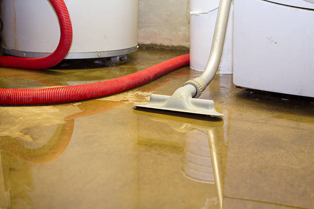 Best Professional water damage repair  in Anadarko, OK