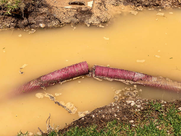 Best Basement water damage restoration  in Anadarko, OK